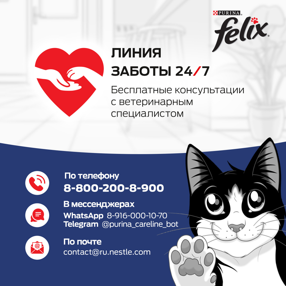 Влажный корм для кошек Felix Аппетитные кусочки, кролик, желе, пауч, 75 г