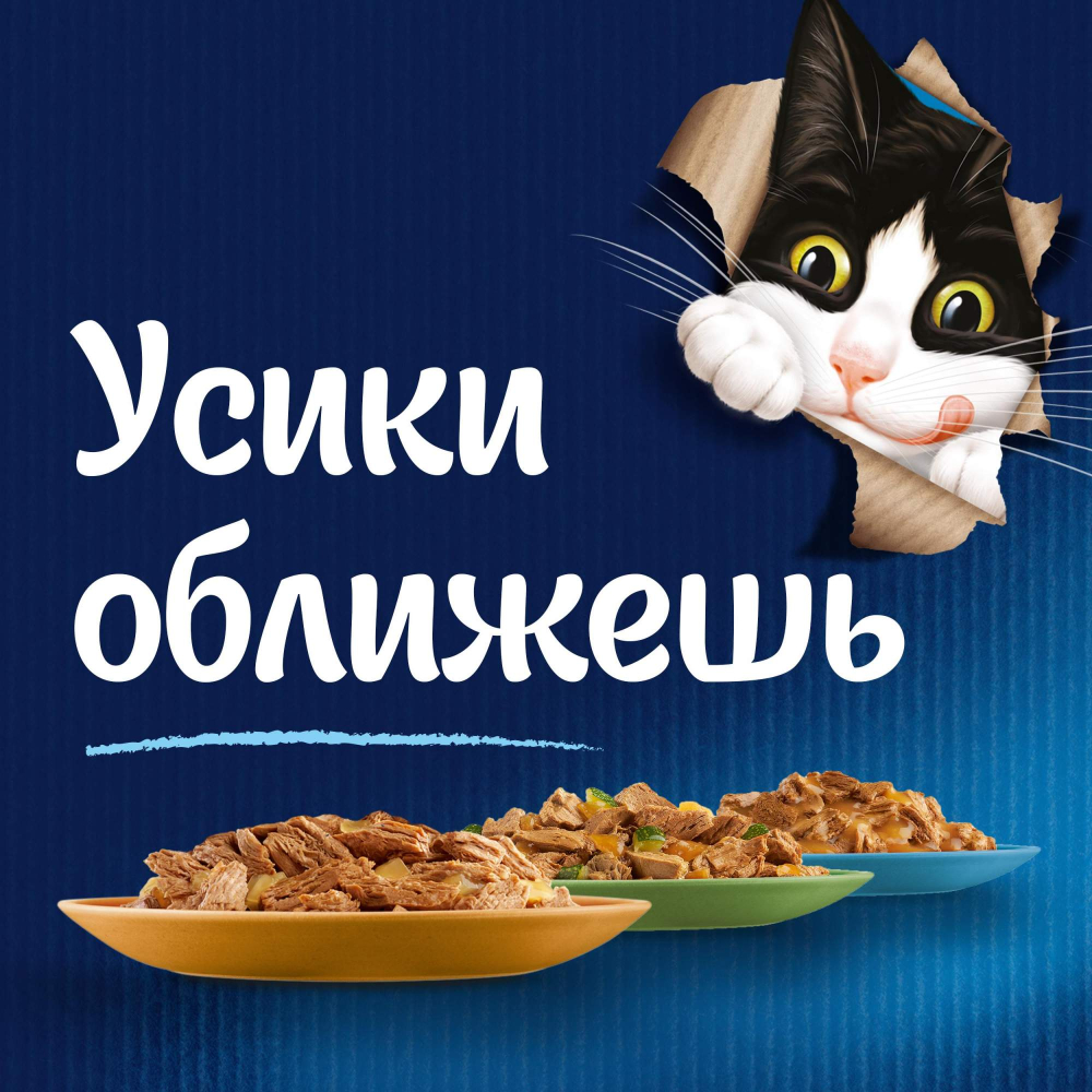 Влажный корм для кошек Felix Двойная вкуснятина, лосось, форель, желе, пауч, 75 г