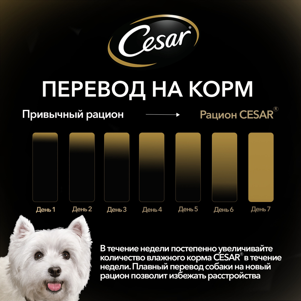 Влажный корм для собак Cesar, со вкусом говядины, кролика и шпината, в соусе, пауч, 85 г