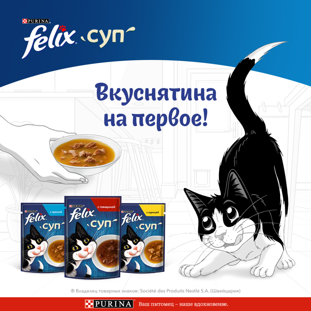 Влажный корм для кошек Felix Суп, курица, пауч, 48г