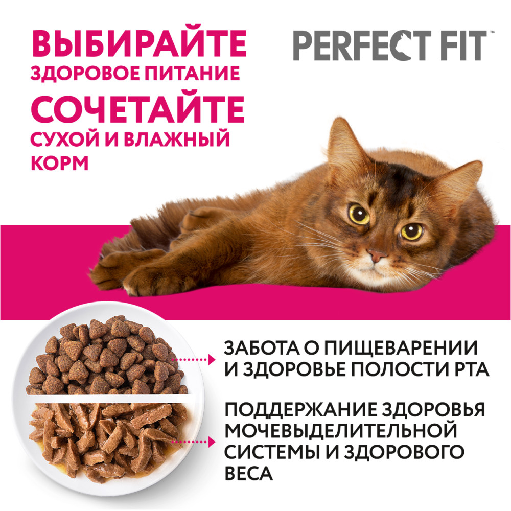 Влажный корм для котят Perfect Fit, со вкусом курицы, кусочки в соусе, пауч, 75 г