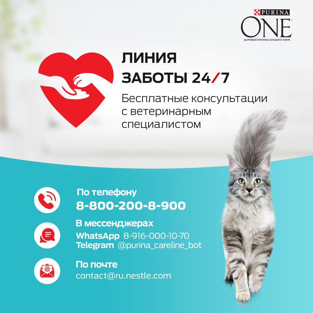 Сухой корм для кошек Purina One при домашнем образе жизни с индейкой и злаками, 3 кг