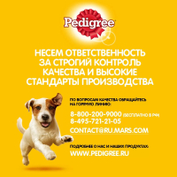 Влажный корм для собак Pedigree, со вкусом ягненка, в желе, пауч, 85 г