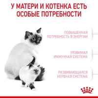 Сухой корм для кошек Royal Canin Mother&Babycat, для котят и кормящих кошек, со вкусом домашней птицы, 400 г