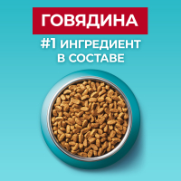 Сухой корм для кошек Purina One для стерилизованных с говядиной и пшеницей, 3 кг