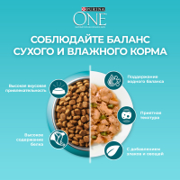 Сухой корм для кошек Purina One при домашнем образе жизни с индейкой и злаками, 3 кг