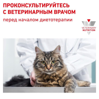 Сухой корм для кошек Royal Canin Gastrointestinal Hairball, при проблемах с ЖКТ, 2 кг