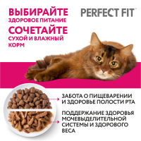 Влажный корм для котят Perfect Fit, со вкусом курицы, кусочки в соусе, пауч, 75 г