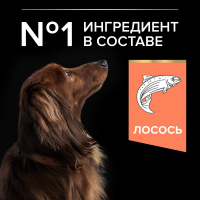 Сухой корм для собак Pro Plan OptiDerma Small&Mini Adult, для взрослых собак мелких пород, лосось, 700 г